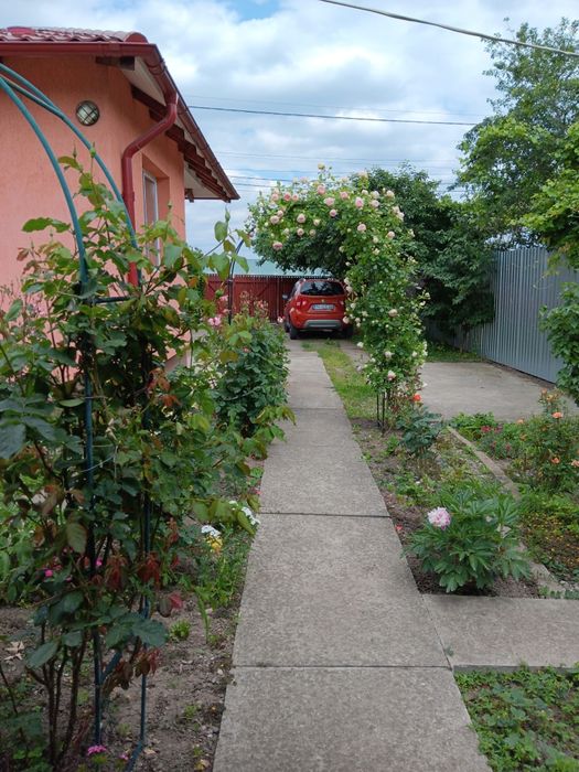 Vanzare casă + livada + teren
