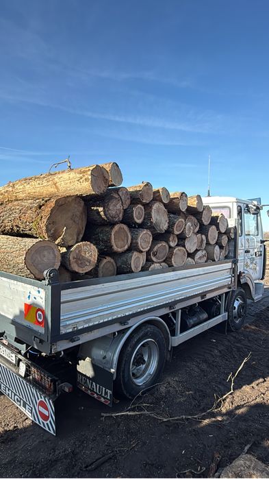 Lemne de foc esenta tare