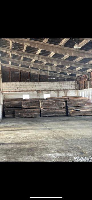 cherestea tivita/netivita