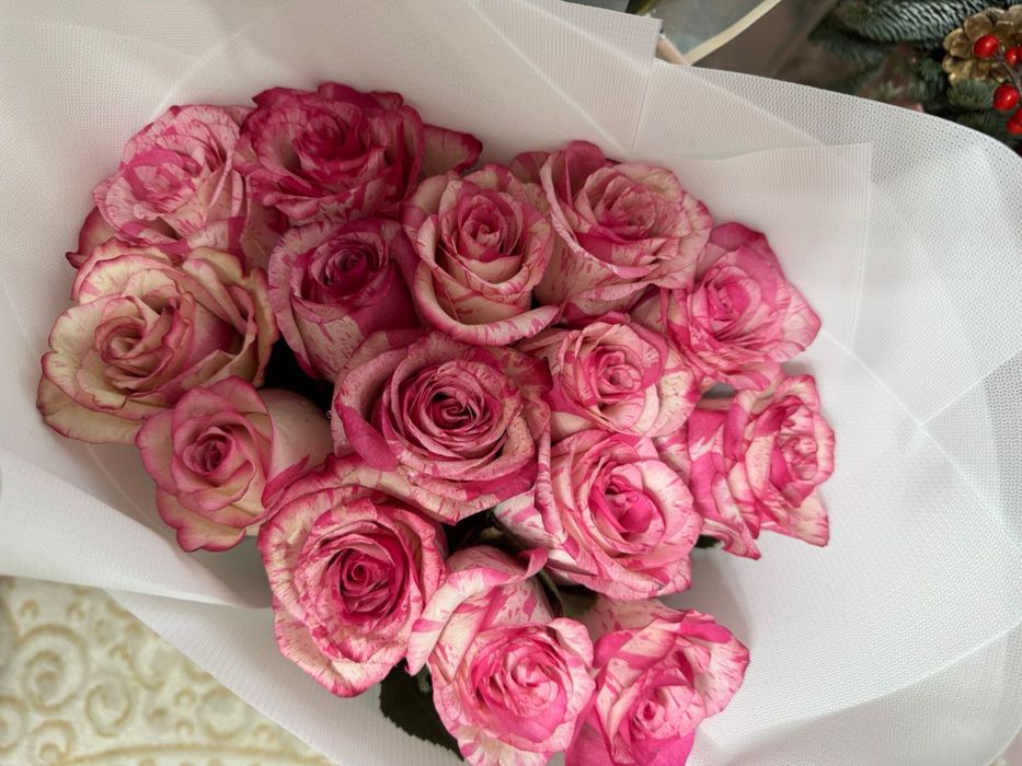 розы розовые ……..