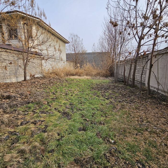 Амир Темур Мевазор!!! 5 соток евро махалла!!!