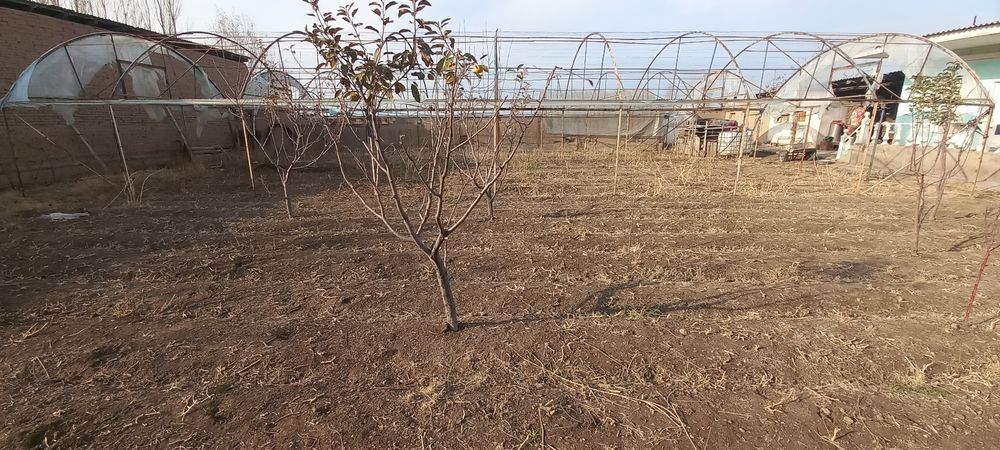 Иссикхона сотилади. Варианти хам бор  от, мол ва куйларга  бартер бор