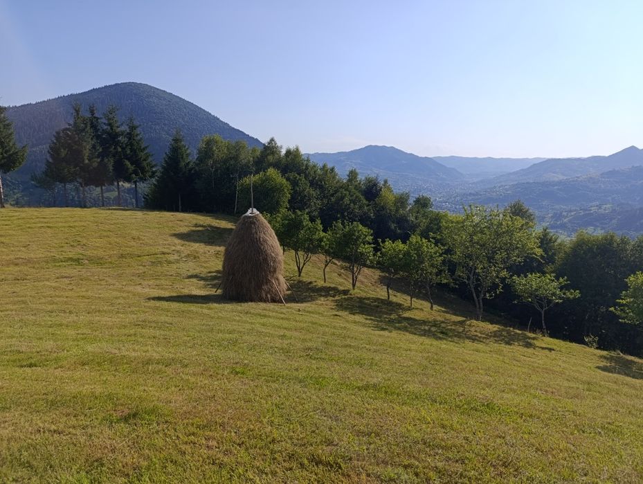 De vânzare 3 clăi de fan de față