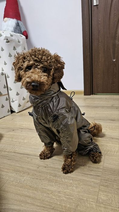 Гащеризон дъждобран, гети, нашийник