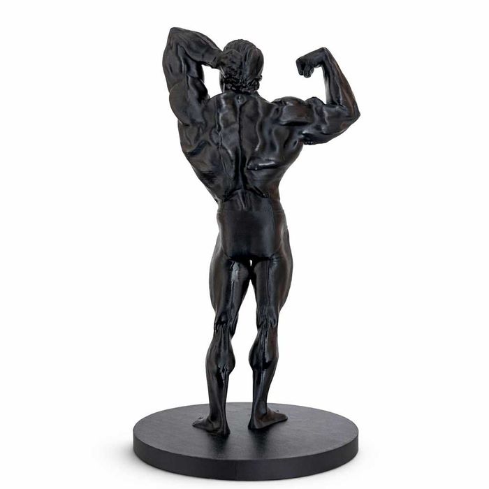 Mr.Olympia Arnold, Lee Haney, Dorian Yates, Ronnie Coleman, Jay Cutler