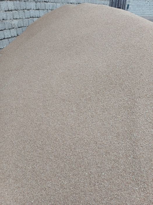 Бидай пшеница сухая, чистая