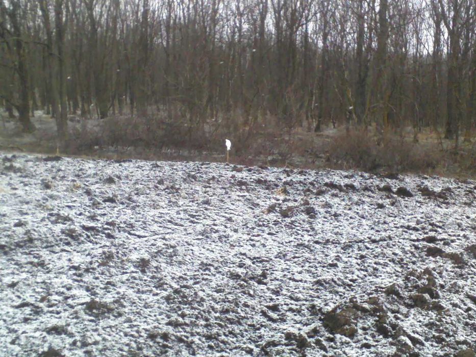 3200 mp Teren langa padure Romsilva, Raducaneni