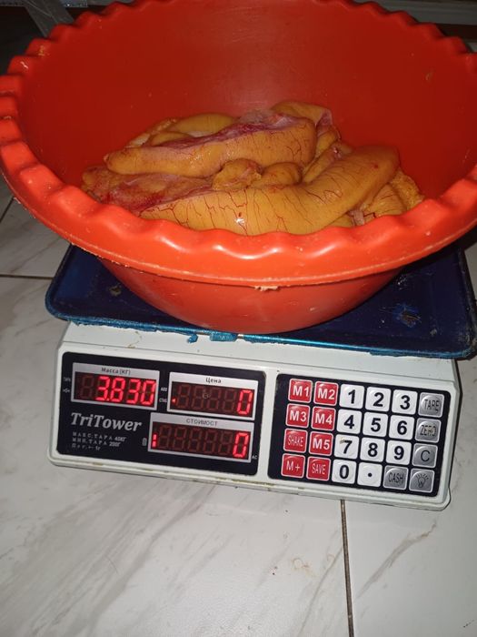 Продам икру свежий