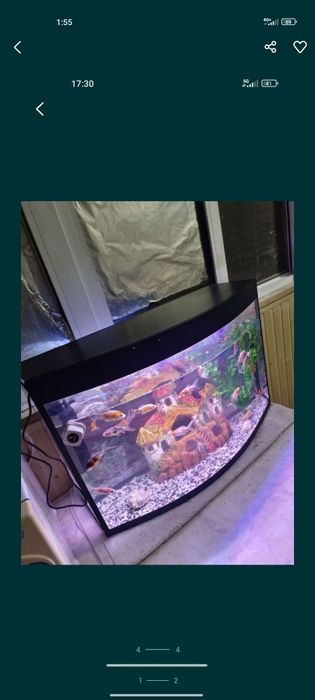 Avalniy Akvarium 60Litr