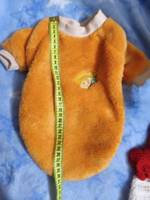 Одежда для животных