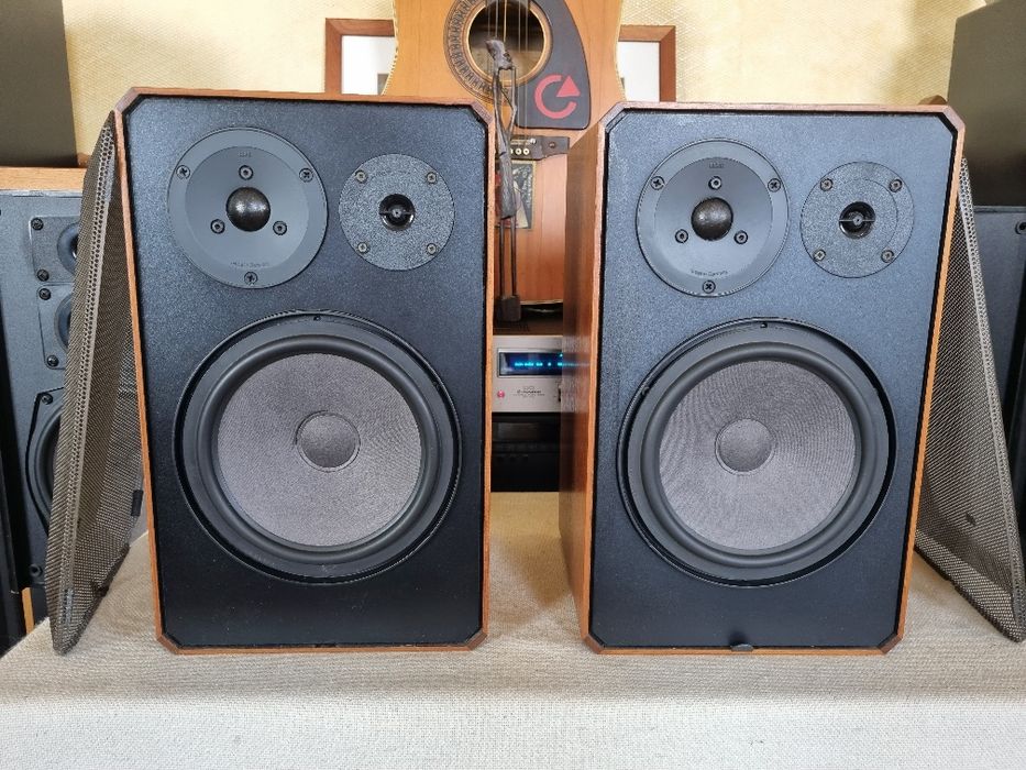 Braun LS-65. 4 ohms, 65/100 W. Perfect functionale. Impecabile
