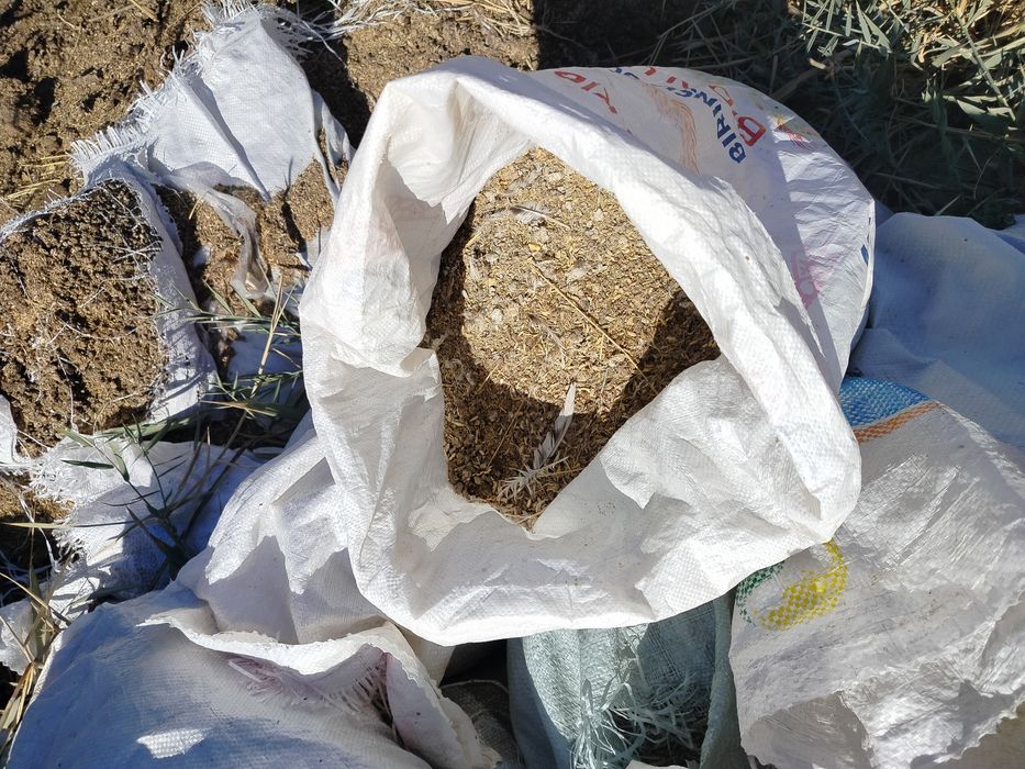 Перепелиный навоз, отдадим бесплатно , самовывоз