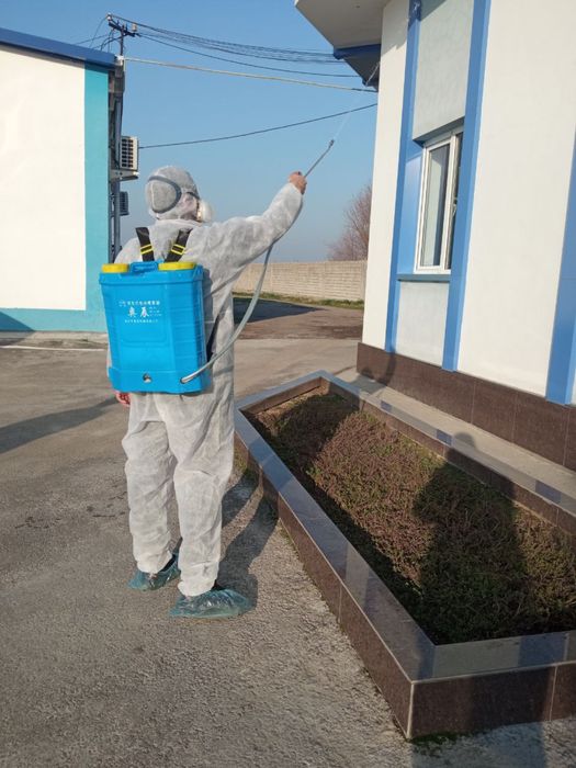 Dezinfeksiya дезинфекция 24/7 dizinfeksiya клапа таракан klapa tarakan