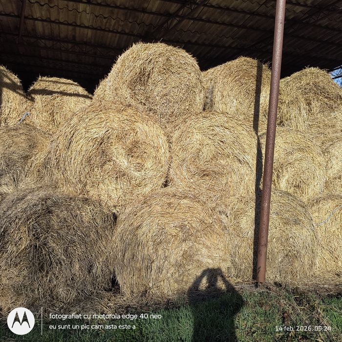 Vand baloti de lucerna