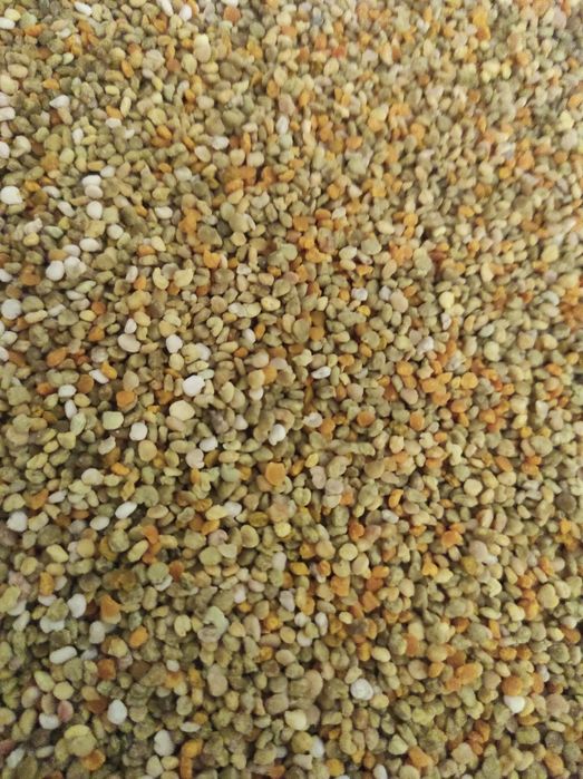 Сотовый мёд - мёд в сотах