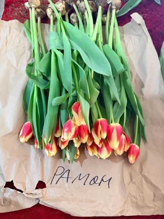 Тюльпан оптом и в розницу