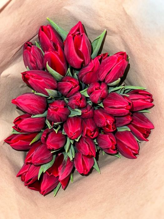 Голландские тюльпаны