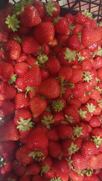 Продам  2 дома каждый