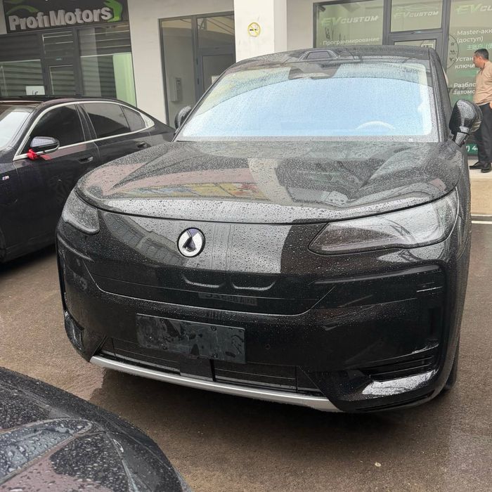 Denza n9 full pozotsiya