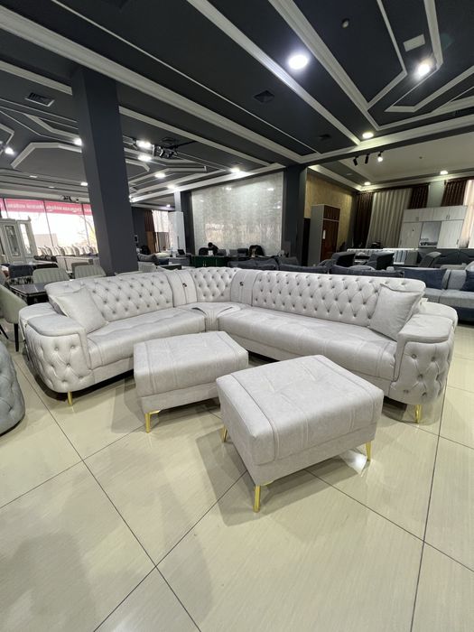 Chester ugalok bolib tolashga