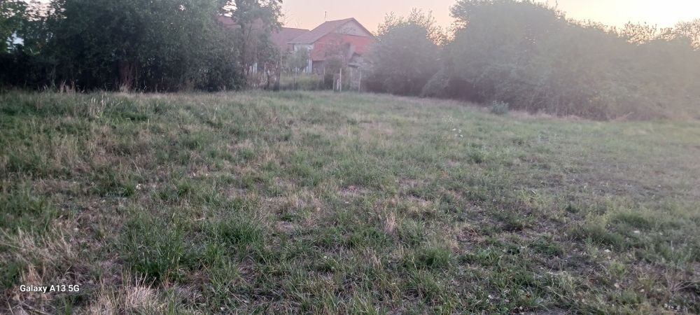 Teren intravilan osorhei