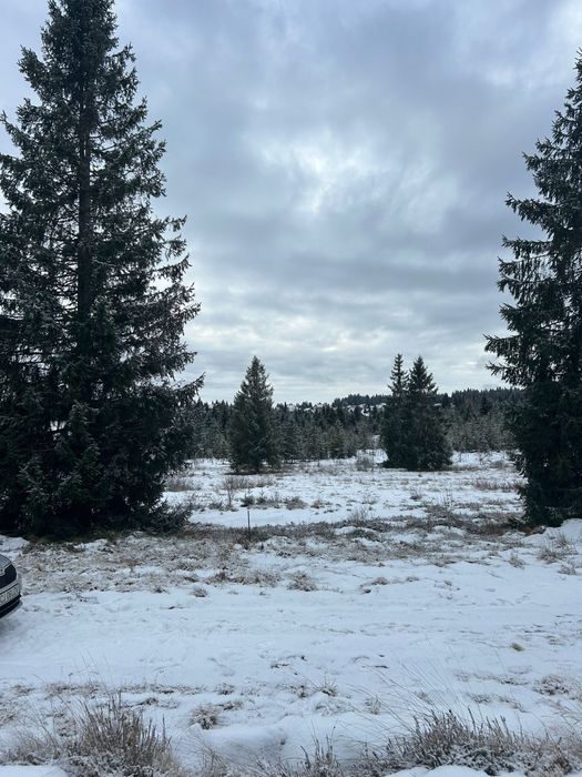 Teren Belis de vanzare