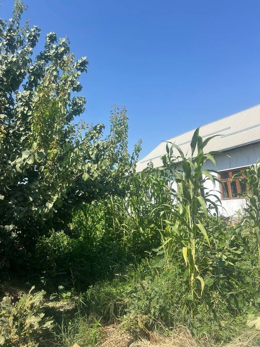 Участка аренда янгиюл битонка