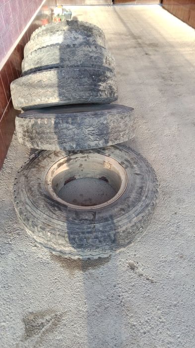 Балон дисками камерный R10