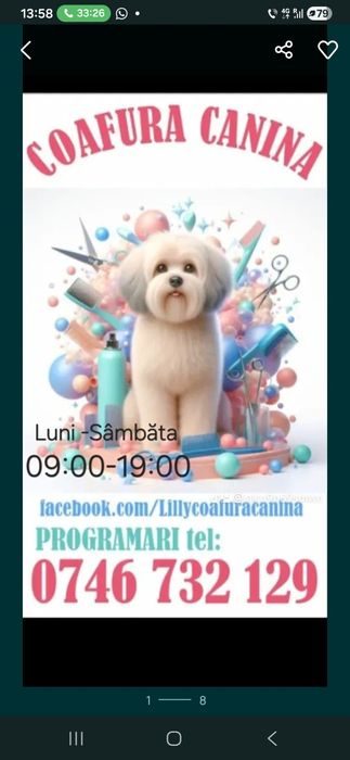 Frizerie Coafura Canina