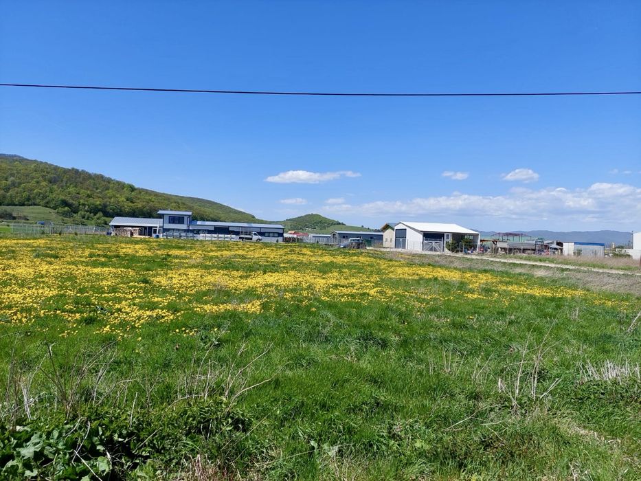 Vând Teren Intravilan Industrial PUZ Codlea Brasov Transilvania Investitie