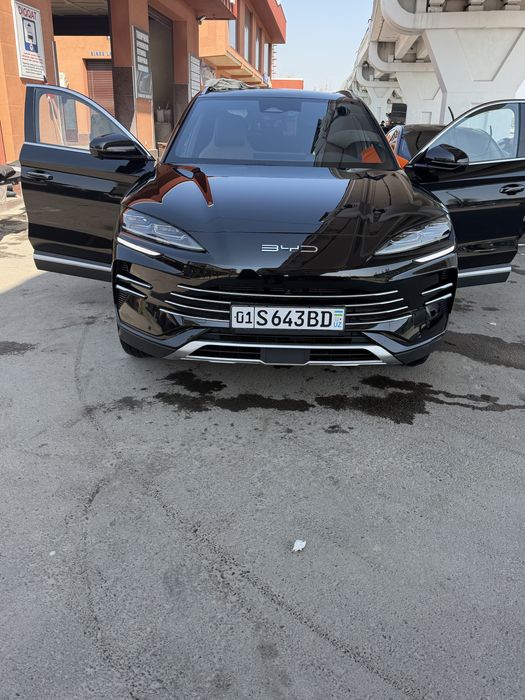 Byd chempion gibrid 150