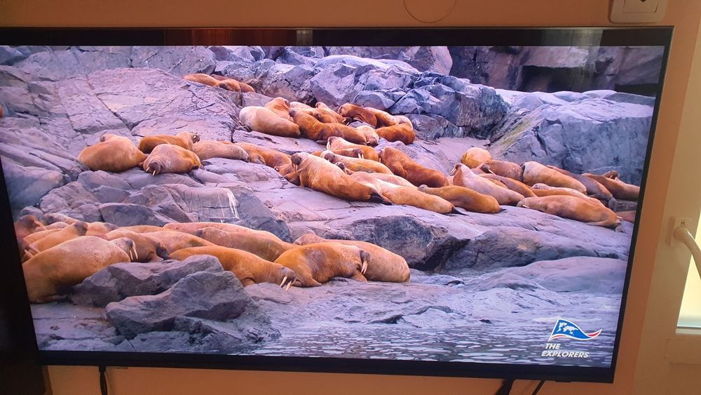 Сателитен приемник  OPENNOX - AS4K+