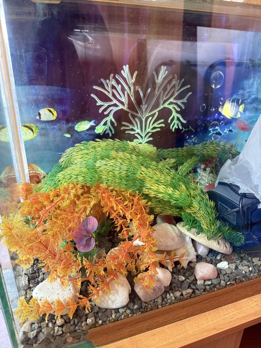 Продам аквариум