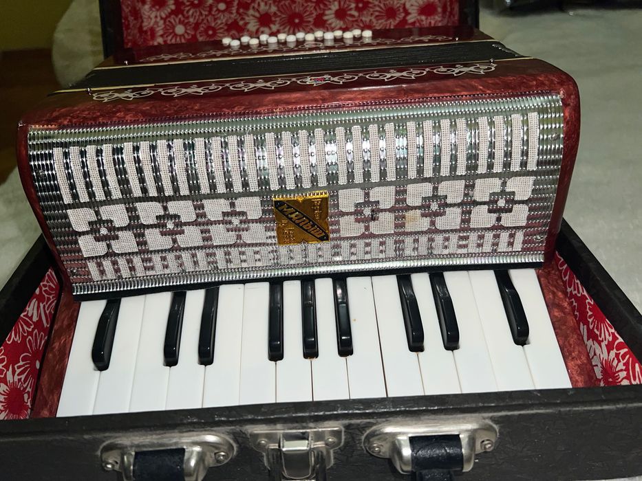 Детски акордеон.