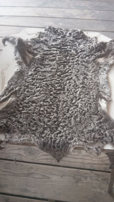 Антика терилар сотилади