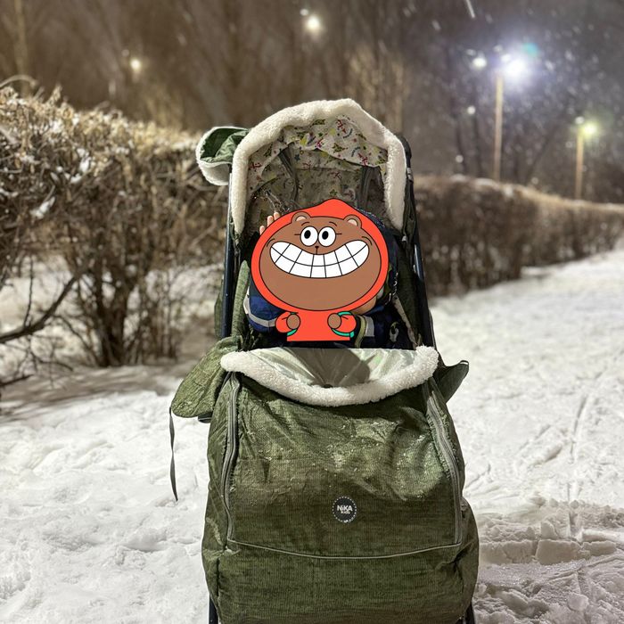 Продается санка коляска Ника