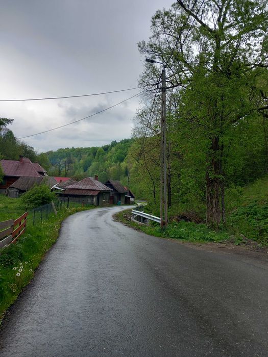 Teren-5000 mp pe drumul spre Muntele Gaina