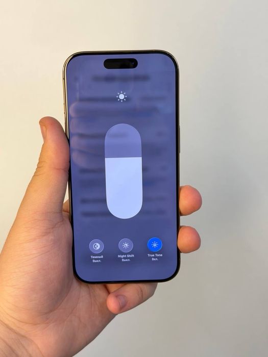 iPhone 16 Pro | 256 GB