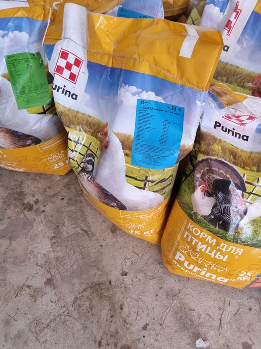 Пурина Корм для Птиц