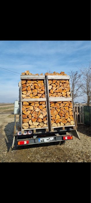 Lemne de foc fag si stejar paletizat