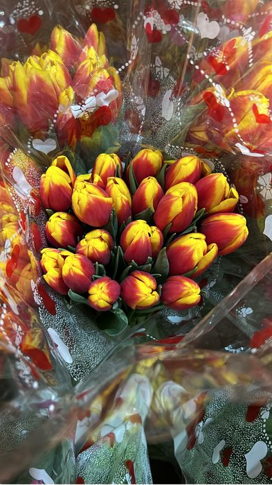 Люксовые Тюльпаны Предзаказ