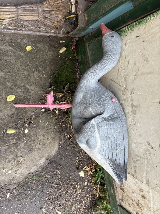 Гусиные профеля разные