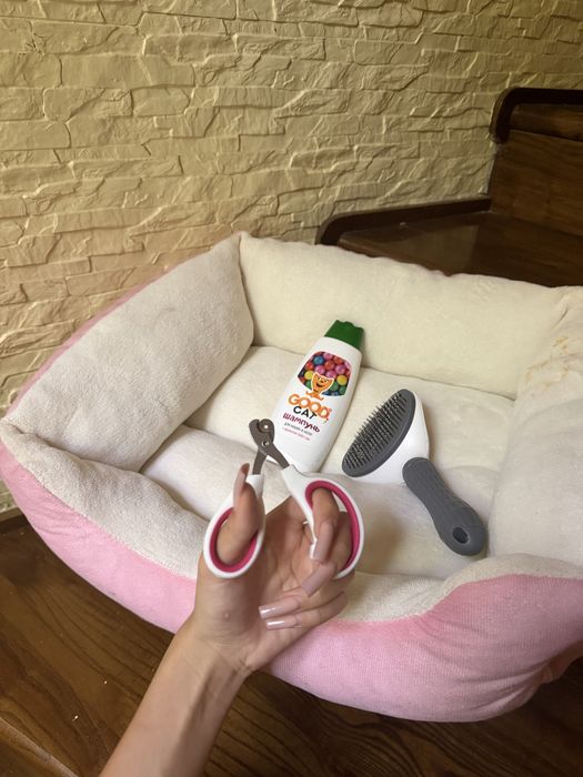 Котенок с вещами