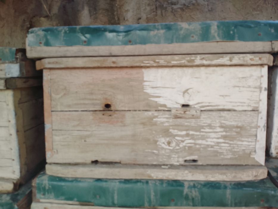 Asalari yashiklari sotiladi narxi 250000 kelshiladi koʻproq olinsa 200