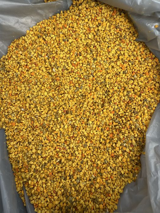 Polen poliflor de vânzare