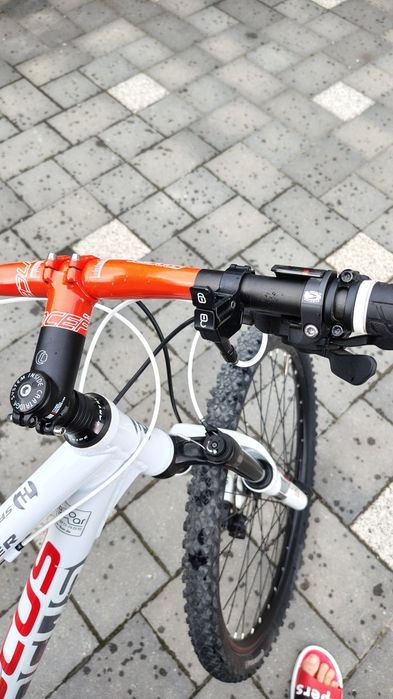 Focus Black Rider Sport Series