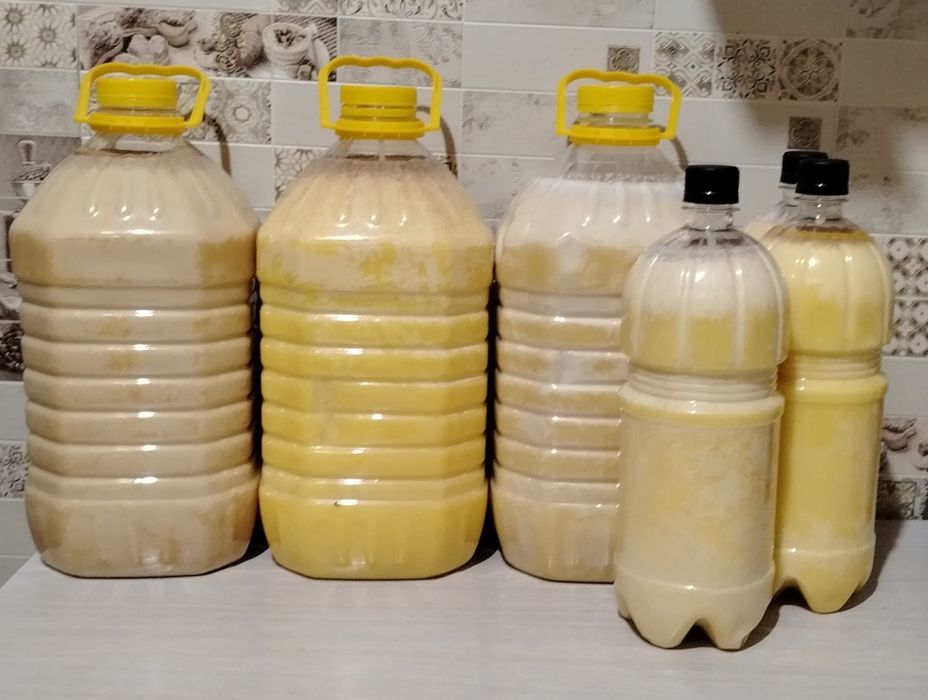 Продам Зыряновский свежий мед