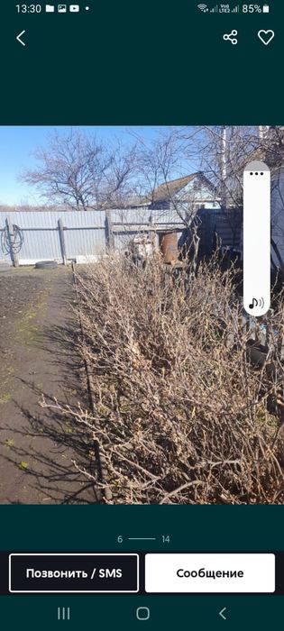 Продам дачу общество Борки , Петропавловск .