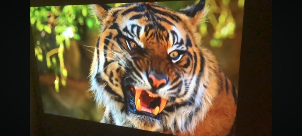 Проектор vivicine s4