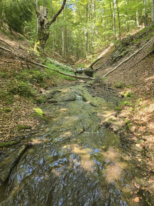 Teren linistit 4 hectare,  Șirnea,  Fundata cu râu pe 2 laterale